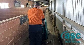Wheeler Greyhound Kennels ASC Double Cleaning Solution