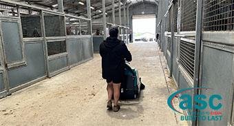 Newgate Stud Farm New Stable Sweeper